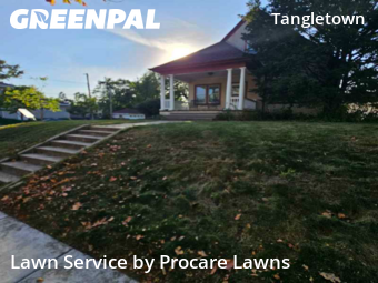 Lawn Mowing nearby Minneapolis, MN, 