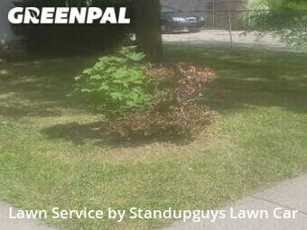 Grass Cutting nearby Royal Oak, MI, 