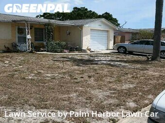 Grass Cut nearby Holiday, FL, 