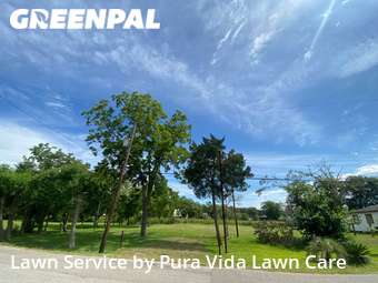 Lawn Service nearby Hitchcock, TX, 