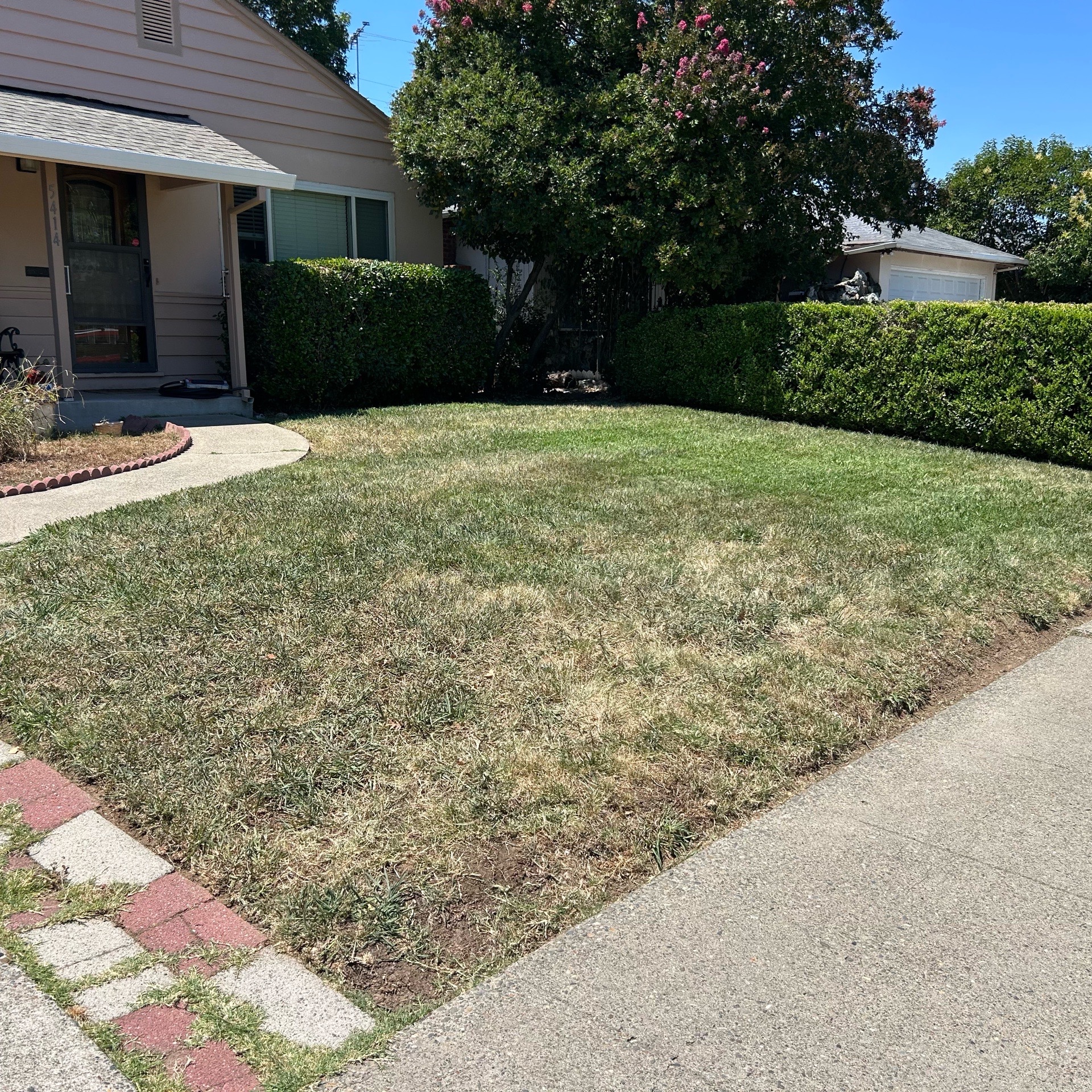 Lawn mowing work by Ocampo Lawn Care in Stockton, CA