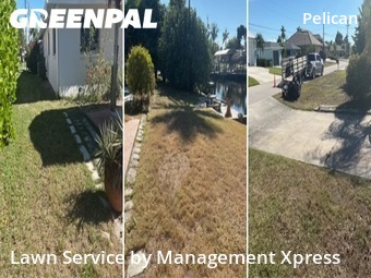 Grass Cutting nearby Cape Coral, FL, 