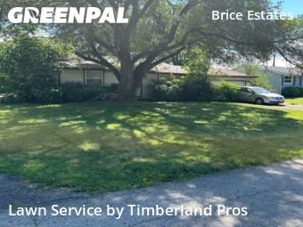 Lawn Care nearby Reynoldsburg, OH, 