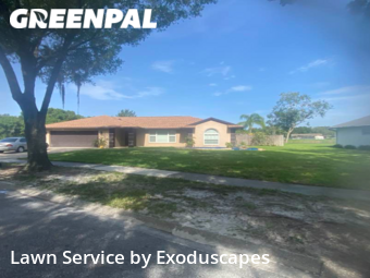 Grass Cut nearby Orlando, FL, 