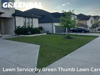 Local Lawn And Landscape Maintenance Services Near Me In Frisco,75033,Landscaping by Green Thumb Lawn Care, work completed in Jun , 2026