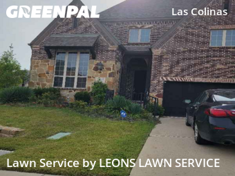 Lawn Cut nearby Irving, TX, 