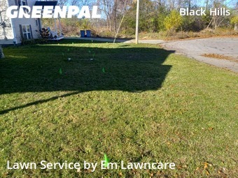 Grass Cut nearby Grand Rapids, MI, 