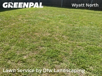 Lawn Cutting nearby Plano, TX, 
