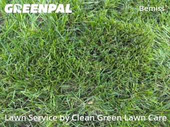 Grass Cutting nearby Spokane, WA, 