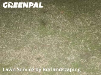 Lawn Cutting nearby Johns Island, SC, 