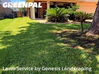 Yard Cutting nearby Spring, TX, 