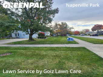 Lawn Carein Naperville,60564,Yard Mowing by Goiz Lawn Care, work completed in Nov , 2025