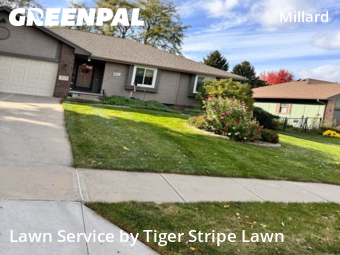 Grass Cut nearby Omaha, NE, 