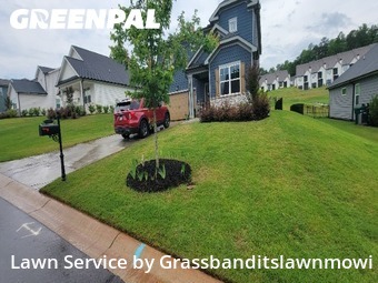 Lawn Cut nearby Homer, GA, 