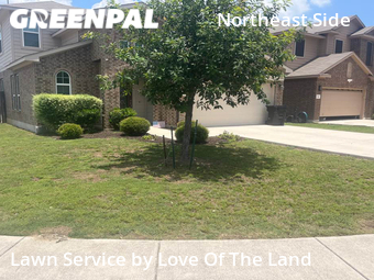 Grass Cut nearby Selma, TX, 