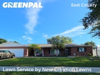 Lawn Cut nearby Valrico, FL, 