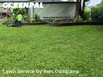 Weed Trimming in Oak Forest, 60452, Grass Cutting by Ines Company, work completed in Oct , 2025