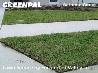 Lawn Mowing nearby Daytona Beach, FL, 