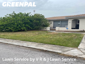 Yard Mowing nearby Holiday, FL, 