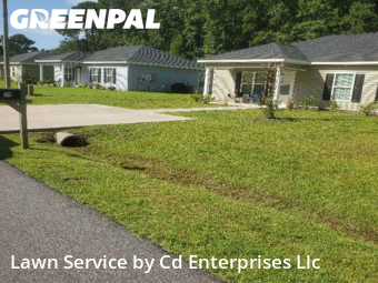Lawn Care nearby Conway, SC, 