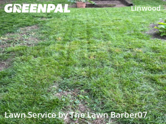 Lawn Care Service nearby Columbus, OH, 