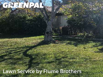 Lawn Maintenance nearby Roseville, MI, 