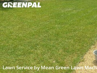 Lawn Mow nearby Arvada, CO, 