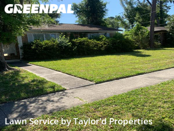 Grass Cut nearby Orange Park, FL, 