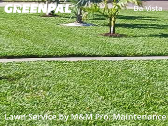 Lawn Maintenance nearby St. Petersburg, FL, 