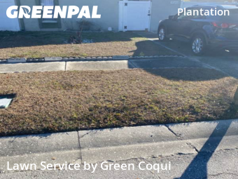 Landscaping Renovation In Tampa,33624,Landscapers by Green Coqui, work completed in Feb , 2026