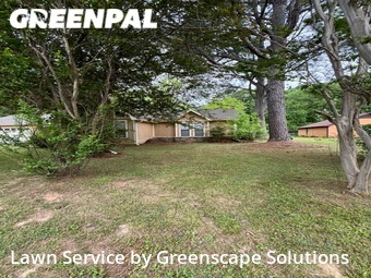 Lawn Care nearby Jackson, TN, 