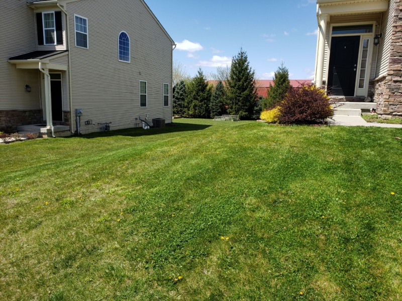 Lawn Care Service in Macungie, PA, 18062