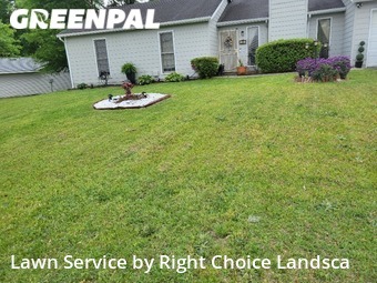 Lawn Mow nearby Jonesboro, GA, 