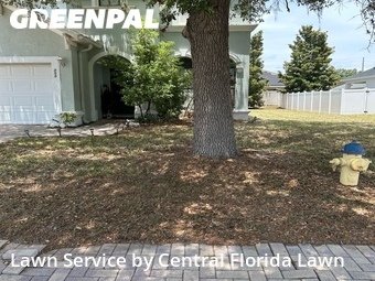 Grass Cutting nearby Lake Alfred, FL, 