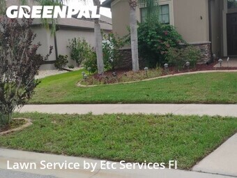 Grass Cutting nearby New Port Richey, FL, 