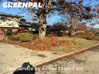 Lawn Cut nearby Urbana, IL, 