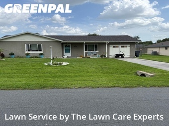 Lawn Mow nearby Lakeland, FL, 