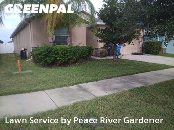 Yard Cutting nearby Ruskin, FL, 