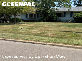 Lawn Cut nearby Massillon, OH, 