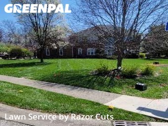 Grass Cut nearby Indianapolis, IN, 