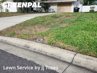 Lawn Mow nearby Clearwater, FL, 