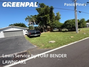 Yard Cutting nearby Holiday, FL, 
