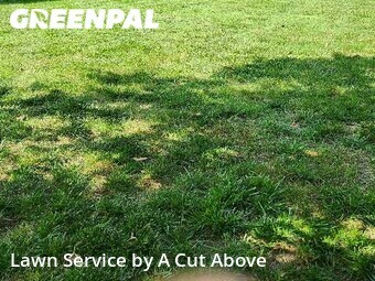 Lawn Cut nearby Smyrna, TN, 