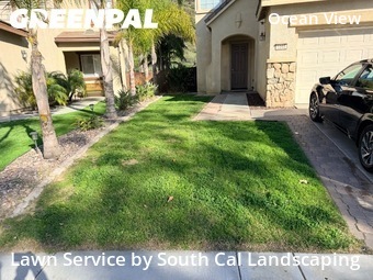 Work completed by local-lawn-maintenance-contractors-in-San Diego-CA