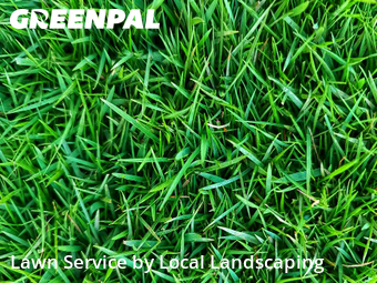 Lawn Services in Marion, 43302, Yard Mowing by Local Landscaping, work completed in Nov , 2025
