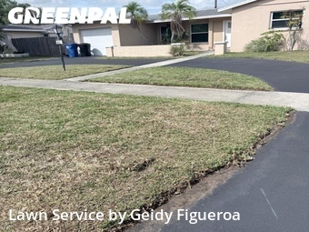 Lawn Care Service nearby St. Petersburg, FL, 