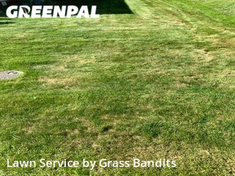 Grass Cut nearby Billings, MT, 