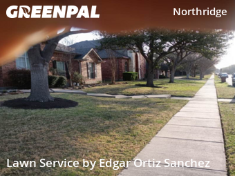 Yard Mowing nearby Frisco, TX, 