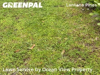 Lawn Mow nearby Lantana, FL, 