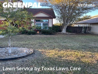 Yard Cuttingin San Antonio,78244,Grass Cutting by Texas Lawn Care, work completed in Dec , 2025
